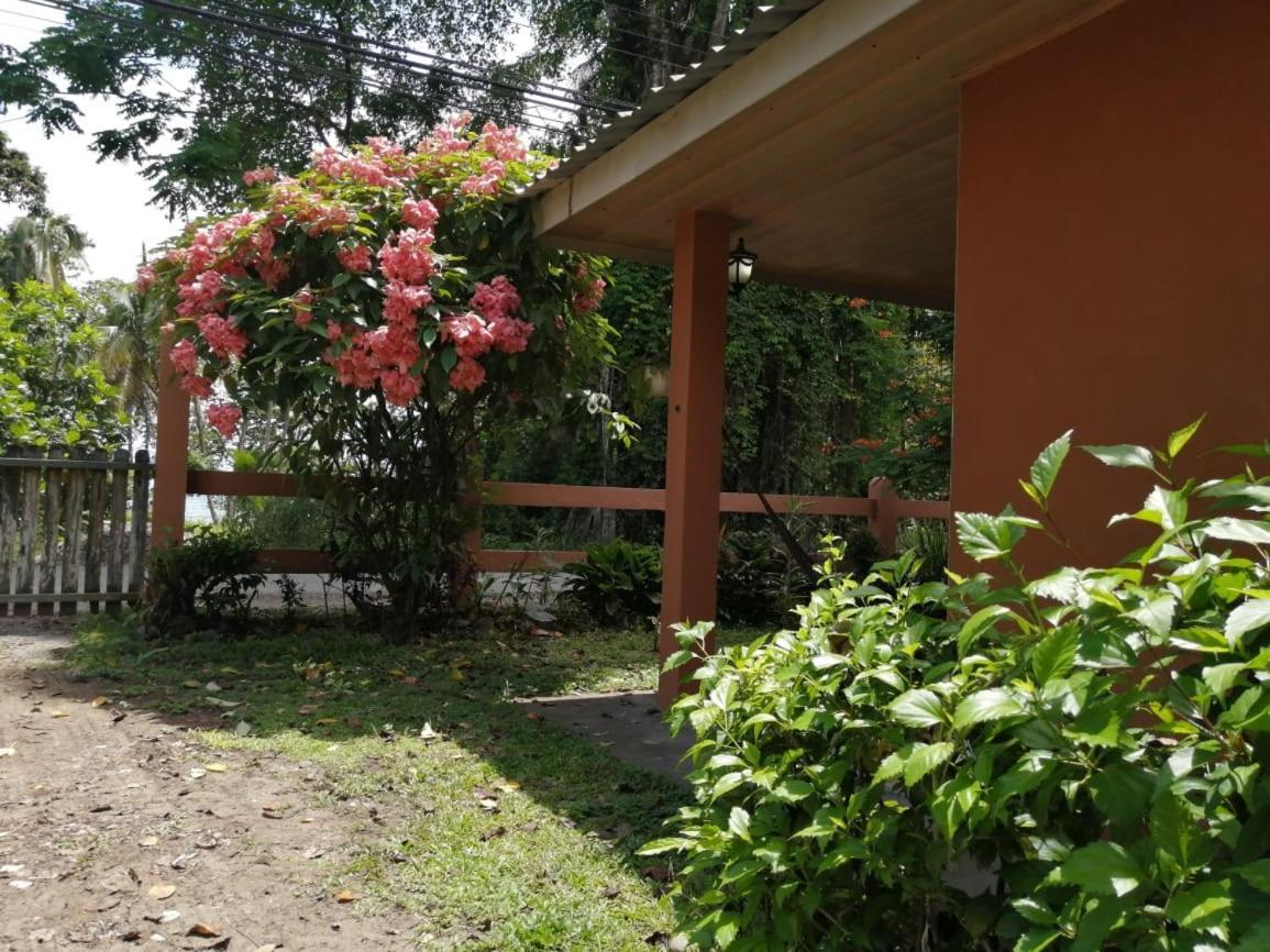 Cahuita Lodge Экстерьер фото