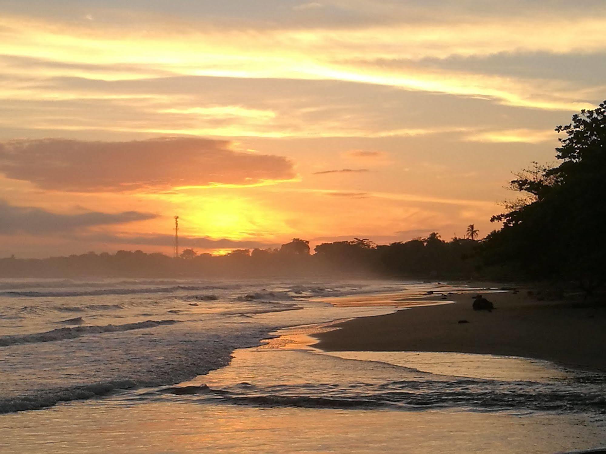 Cahuita Lodge Экстерьер фото